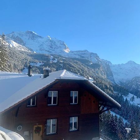 Chalet Aargovia Wengen Dış mekan fotoğraf