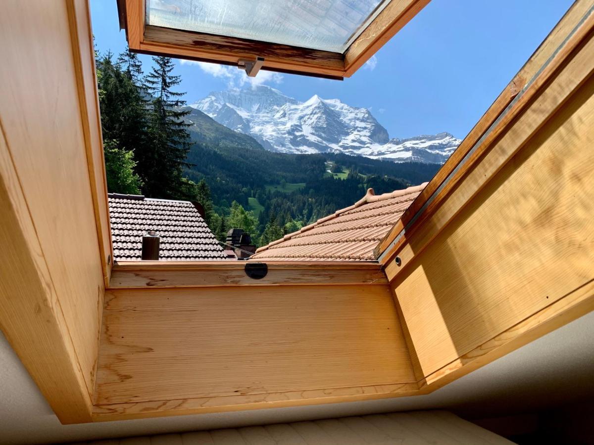 Chalet Aargovia Wengen Dış mekan fotoğraf