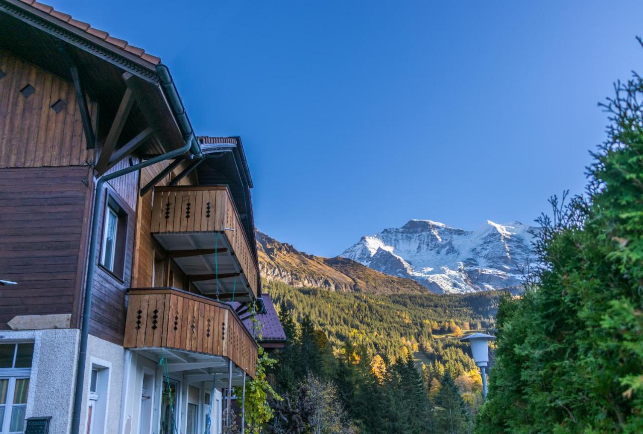 Chalet Aargovia Wengen Dış mekan fotoğraf