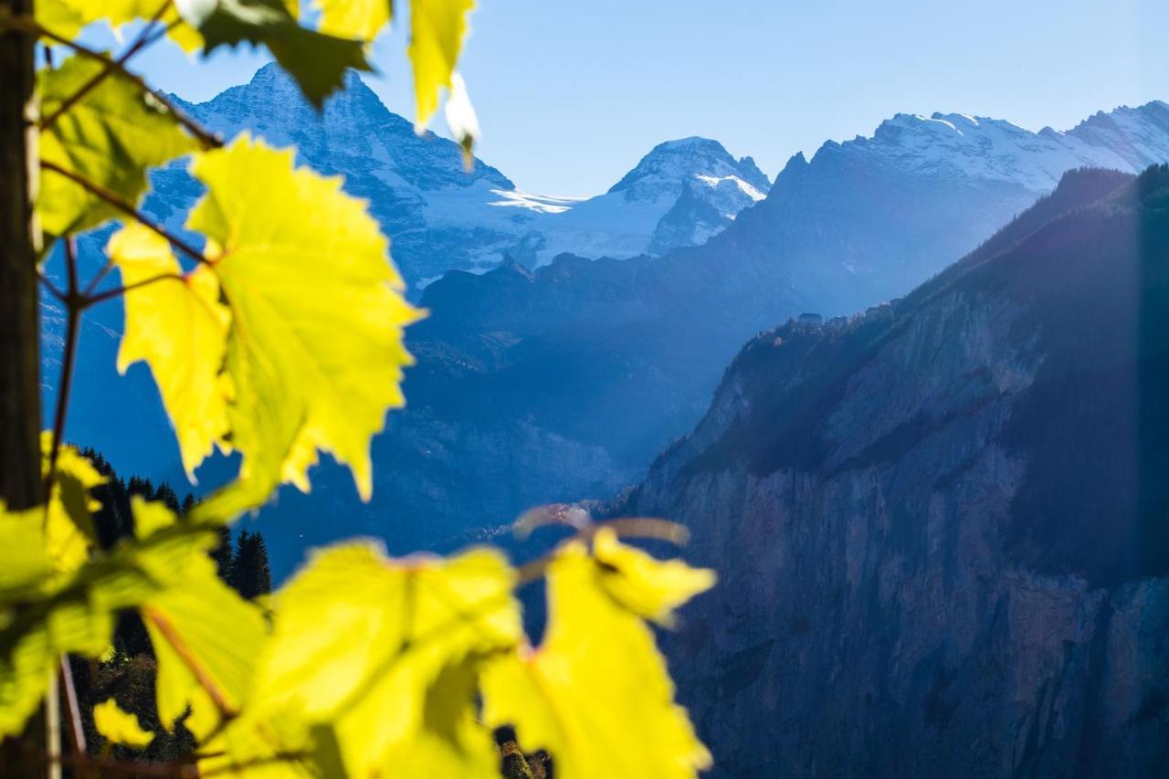 Chalet Aargovia Wengen Dış mekan fotoğraf