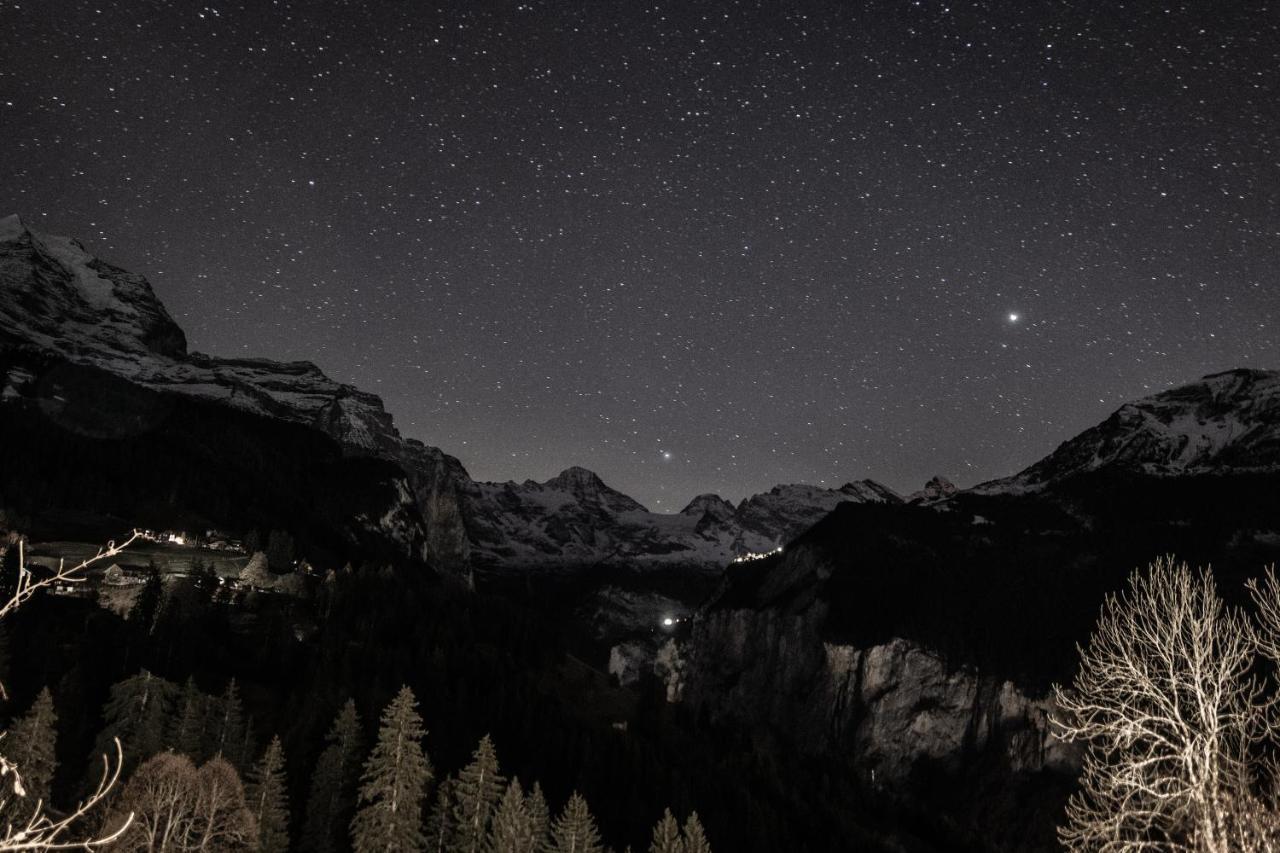 Chalet Aargovia Wengen Dış mekan fotoğraf